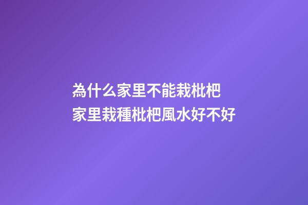 為什么家里不能栽枇杷 家里栽種枇杷風水好不好
